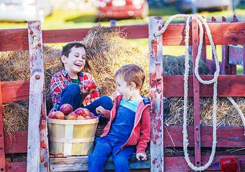 Enjoy a scenic ride through the countryside at a Wisconsin farm this fall!
