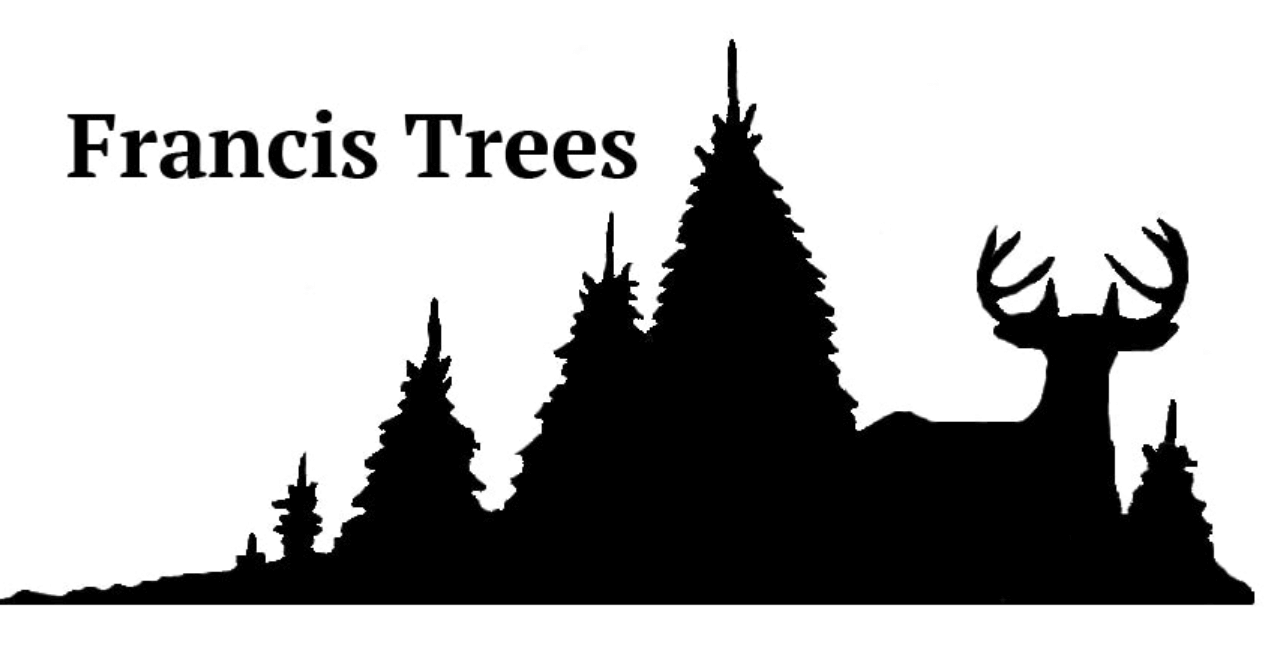 Screen Shot 2023 02 21 at 2.01.30 AM