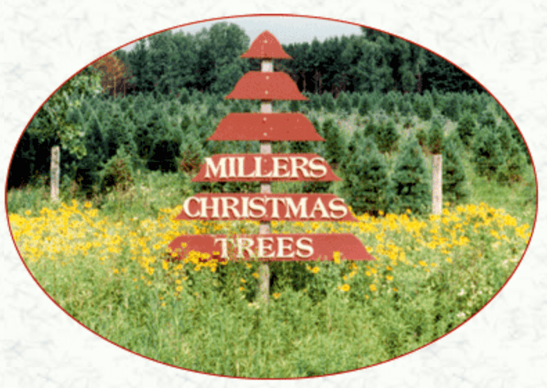 Screen Shot 2023 03 18 at 12.20.30 PM