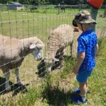 BllueRidgeGrowers3 150x150