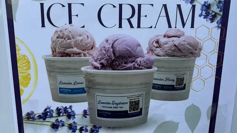 Country Lavender Orchard4