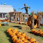 Country Bumpkin Farm Market