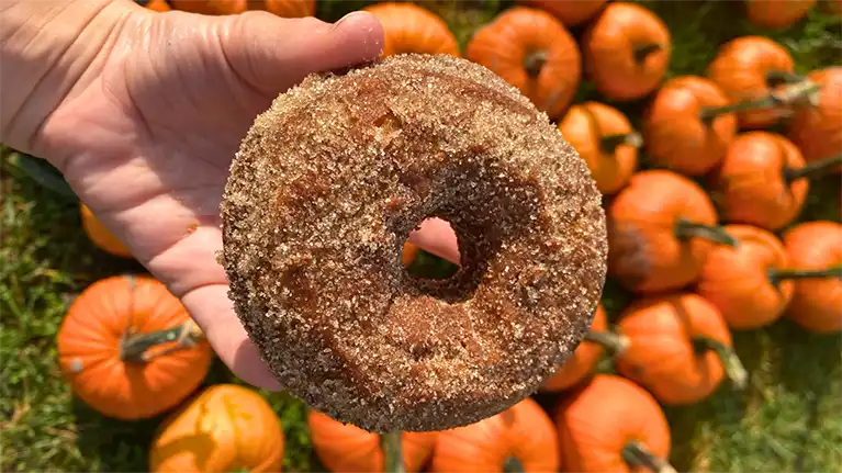Cuff Farms Apple Cider Donuts