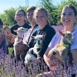 Eugster's Farm Market