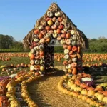 Eugster's Farm Market