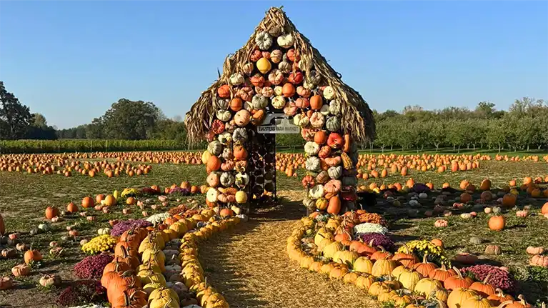 Eugster's Farm Market