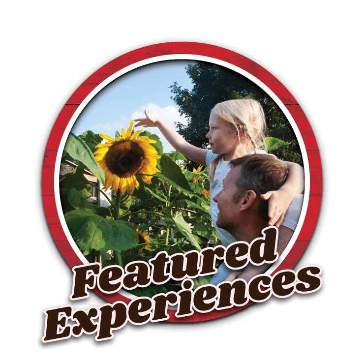 Feature Experiences highlighted in our blog.