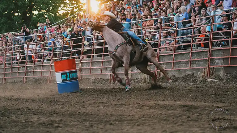 Green County Fairgrounds & Campground