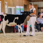 Green County Fairgrounds & Campground