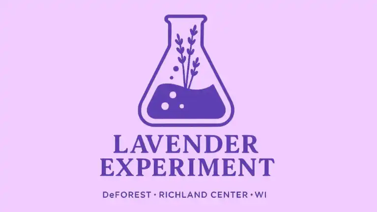 Lavender Experiment1