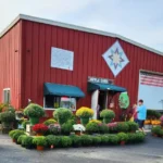 M&T's Gibbsville Orchard