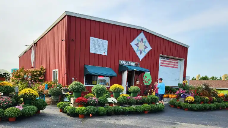 M&T's Gibbsville Orchard