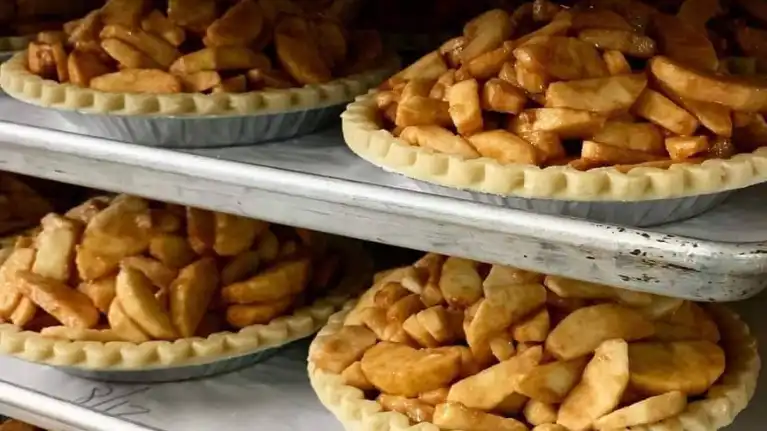 M&T's Gibbsville Orchard