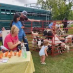 M&T's Gibbsville Orchard
