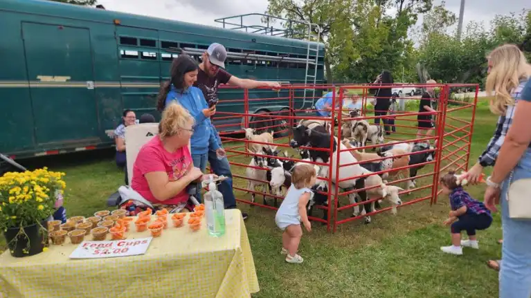 M&T's Gibbsville Orchard