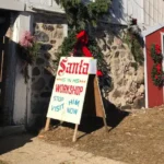 Miller's Christmas Trees