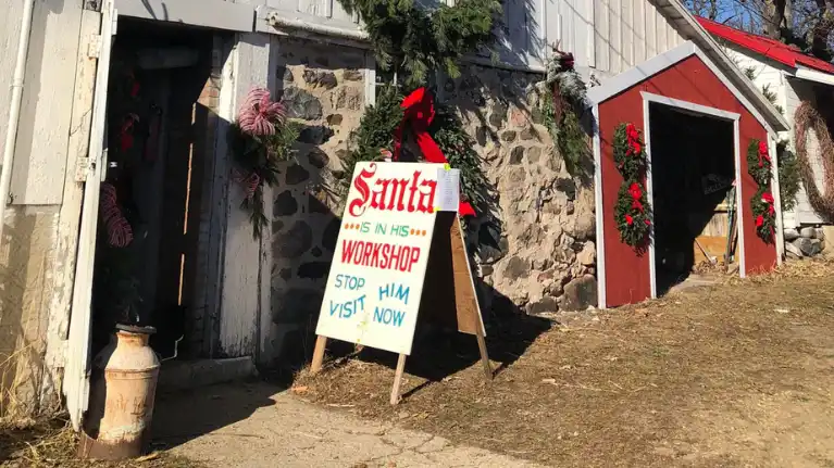 Miller's Christmas Trees