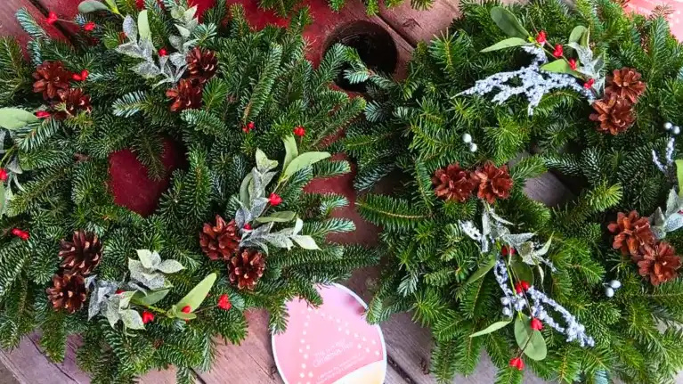 Miller's Christmas Trees