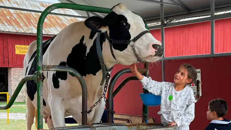 Mulberry Lane Farm, Inc.