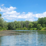 Driftless Lodge Vacation Homes & Cabins, LLC