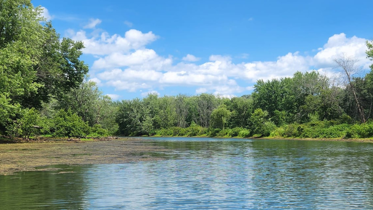 Driftless Lodge Vacation Homes & Cabins, LLC