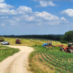 Driftless Lodge Vacation Homes & Cabins, LLC