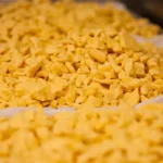 Pagel's Ponderosa Dairy LLC