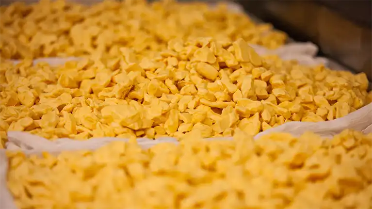 Pagel's Ponderosa Dairy LLC