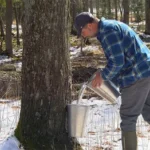Antigo Langlade County Welcome Center