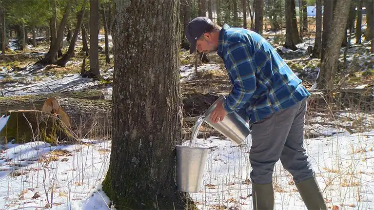 Antigo Langlade County Welcome Center