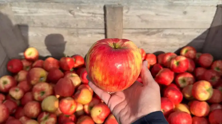 Apple Barn Orchard & Winery