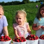 Apple Barn Orchard & Winery
