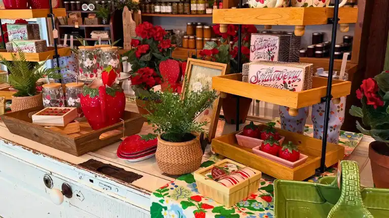 Apple Barn Orchard & Winery