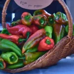 Beaver Dam Pepper Festival