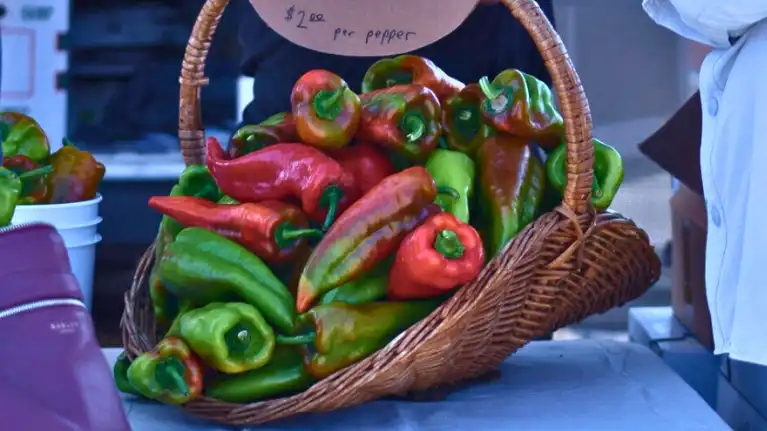 Beaver Dam Pepper Festival