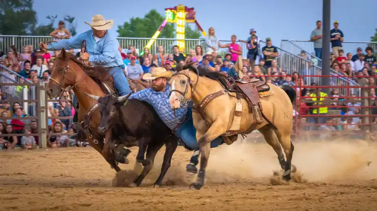 Brown County Fair