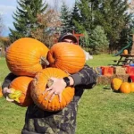 Buffalo Bill's Pumpkin Farm