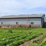 Calanna Speciality Foods