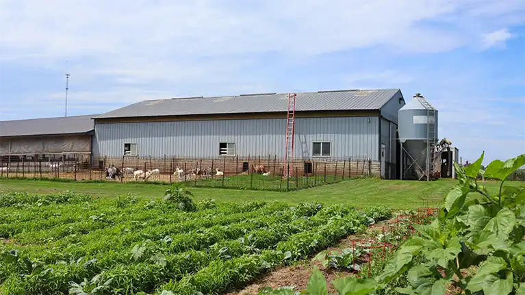 Calanna Speciality Foods