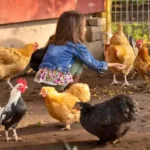 Calumet County Tourism