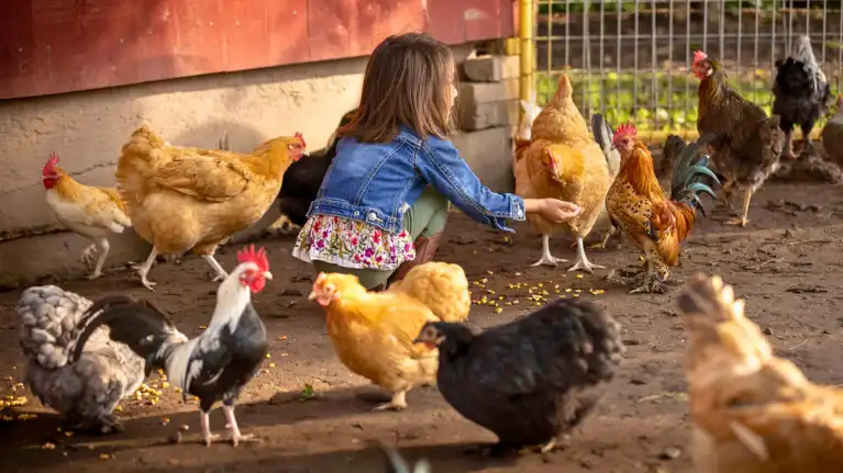 Calumet County Tourism