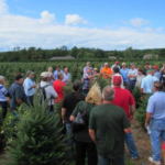 Christmas Tree Growers Assoc 2 150x150