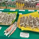 Confections For Any Occasion