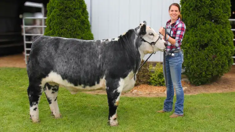 Crawford County Fair