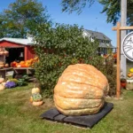 Destination Lake Winnebago Region