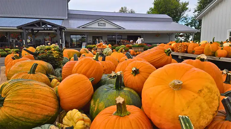 Discover Whitewater Tourism