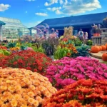 Ebert's Greenhouse Village