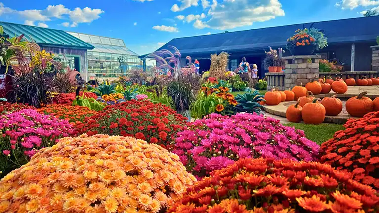 Ebert's Greenhouse Village