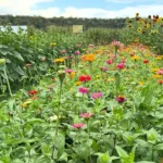 Enchanted Valley Acres, LLC