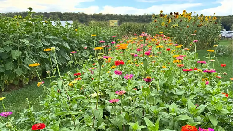 Enchanted Valley Acres, LLC